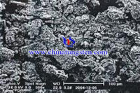 ammonium parawolframaat SEM-opname