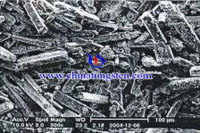 ammonium parawolframaat SEM-opname