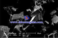 micrografia de paratungstato de amônio SEM